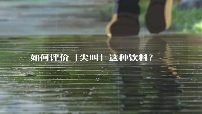 如何评价「尖叫」这种饮料？
