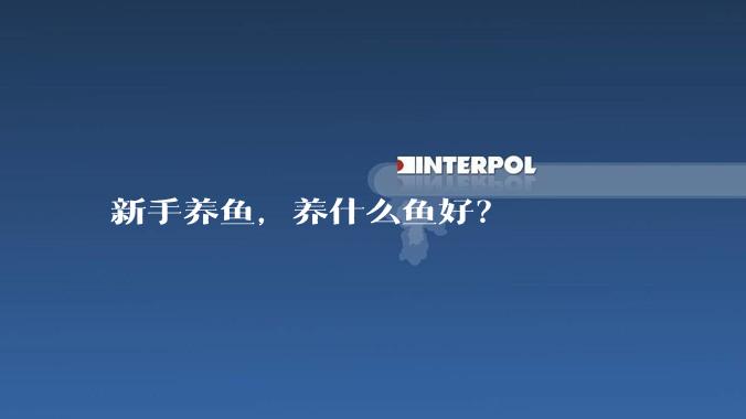 新手养鱼，养什么鱼好？
