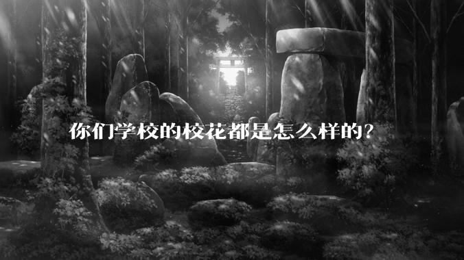你们学校的校花都是怎么样的？