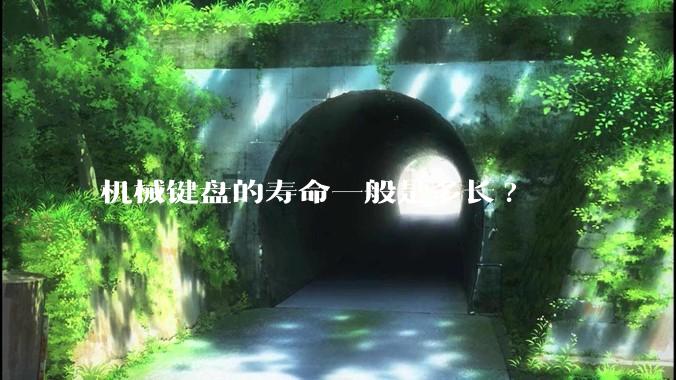 机械键盘的寿命一般是多长?