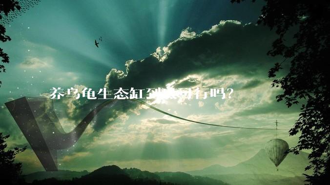 养乌龟生态缸到底可行吗？