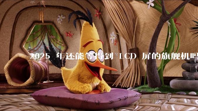 2025 年还能等得到 LCD 屏的旗舰机吗？