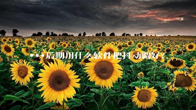 ***后期用什么软件把抖动调好？