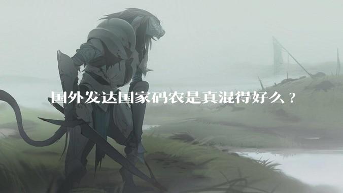 国外发达国家码农是真混得好么?